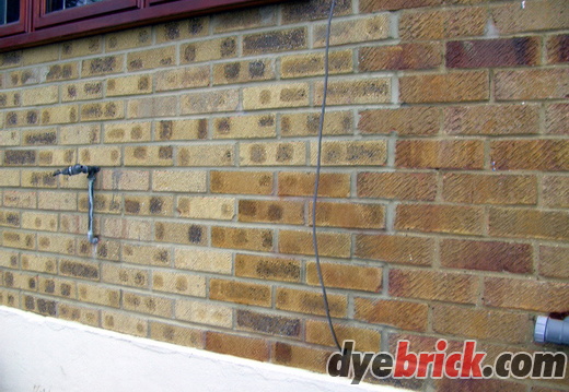 Brick Tinting starting